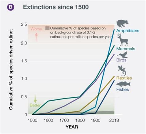 1 Million Species Face Extinction The United Nations Ipbes
