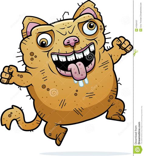 Crazy Cat Clipart 20 Free Cliparts Download Images On Clipground 2023