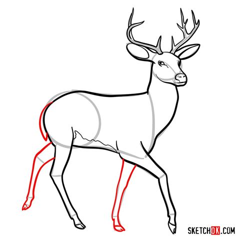 How To Draw A Deer Step By Step Drawing Tutorial Easy