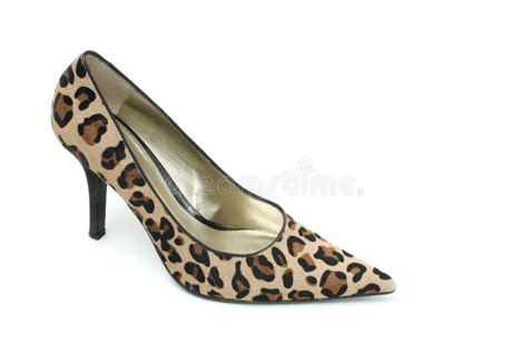 Ladies Leopard Print And Red High Heel Shoes Stock Image Image Of