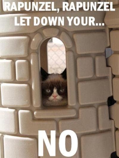 25 Of The Best Grumpy Cat Moments Sheknows