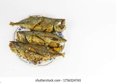 Long Jawed Fish Images Stock Photos Vectors Shutterstock