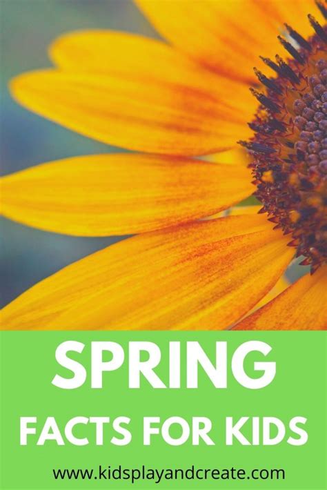 What Happens In Spring Spring Facts For Kids Kids Play And Create