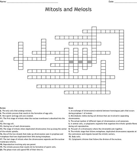 Science skills worksheet meiosis answers worksheet. Mitosis And Meiosis Crossword Word — db-excel.com