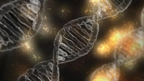 Whole Genome Sequencing Improves Diagnosis Of Rare Diseases Study Says