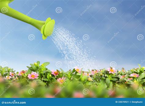 Water Pouring Watering Can Onto Blooming The Flower Stock Illustration