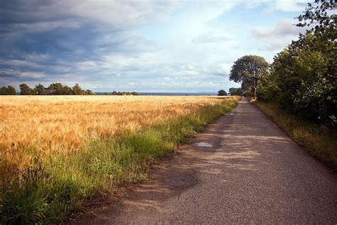 Ein Weg Am Kornfeld Foto And Bild Landschaft Äcker Felder And Wiesen
