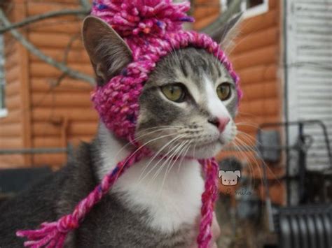 Colorful Cat Pom Pom Hat Hat For A Cat By Allieandmilo On Etsy Cat