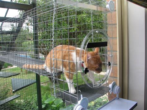 Cat lovers who want their cats to enjoy fresh air and sunshine often feel guilt by confining their cats to the indoors. Cat enclosure connected to house by Cat Door -- cat can go ...