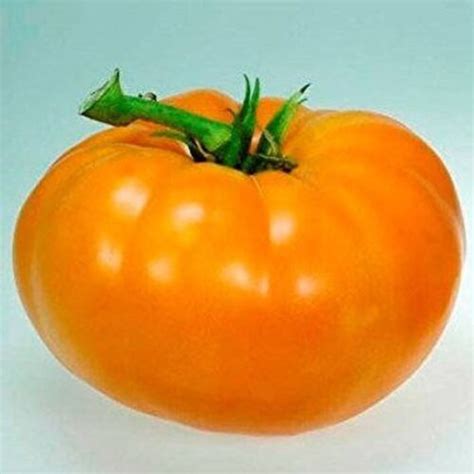 Amana Orange Tomato 30 Seeds Non Gmo Buy 2 Get 1 Free Free Shipping