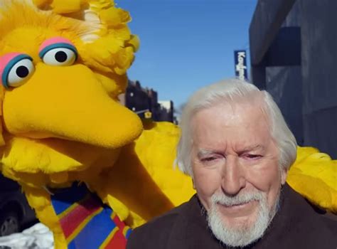 Big Birdman Is Viral Sesame Street Film A Late Contender For Oscars