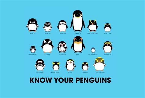 Penguin Pictures And Jokes Funny Pictures And Best Jokes