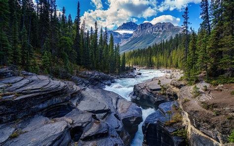 Download Wallpapers Mountain River Forest Spring Morning Water