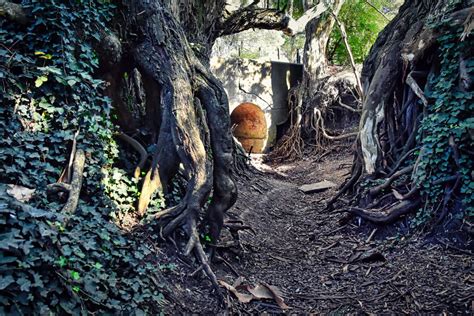 Legendario túnel y enormes raíces en el exótico fondo de un arroyo