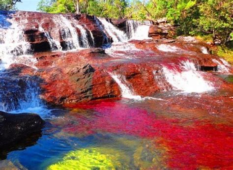 This Colombian River Looks Like A Liquid Rainbow Rainbow River What