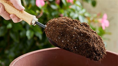 Easy Homemade Potting Soil Recipe A Step By Step Guide Included Vilee