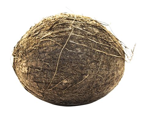 Hay Png Transparent Images Png All