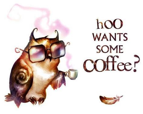 Pin By Ⓑⓔⓒⓚⓨ On Coffee Lover Coffee Humor Coffee Obsession Owl