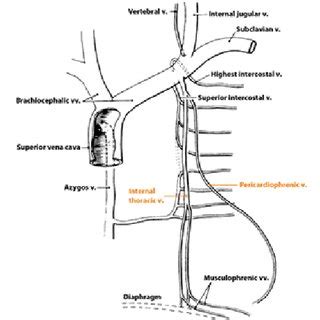 Pdf Central Venous Catheter Malposition Mimicking An Arterial Waveform