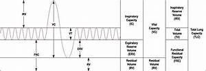 Lung Volumes And Lung Capacity Tv Irv Erv Rv Ic Ec Frc
