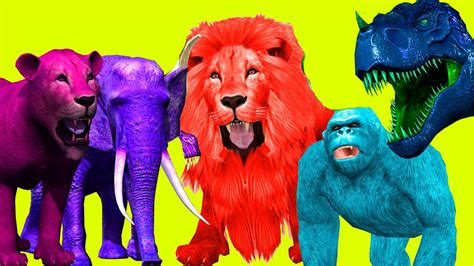Animals Cartoons For Children Animal Nursery Rhymes For