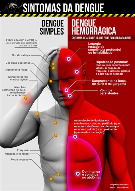 Qual O Sintoma De Dengue