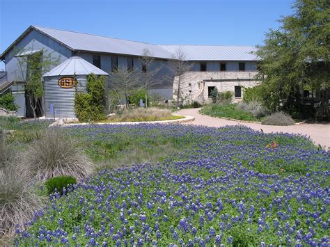 Austin Tx Wildflower Center Alisonquarles Flickr