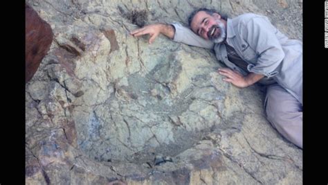 Researchers Find The Largest Ever Dinosaur Footprint On Earth Ancient