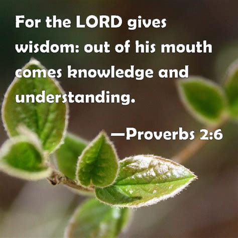 Proverbs 26 For The Lord Gives Wisdom Out Of His Mouth Comes