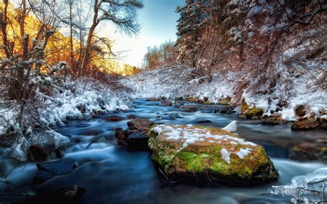 River Rocks Snow Stones Water Trees Winter Photography