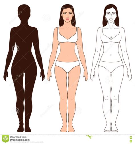 sintético 103 imagen como dibujar un cuerpo de mujer alta definición completa 2k 4k