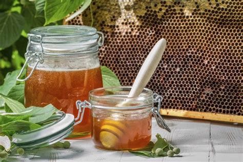 Outil essentiel de l apiculteur l extracteur à miel Voici quelques conseils pour bien l
