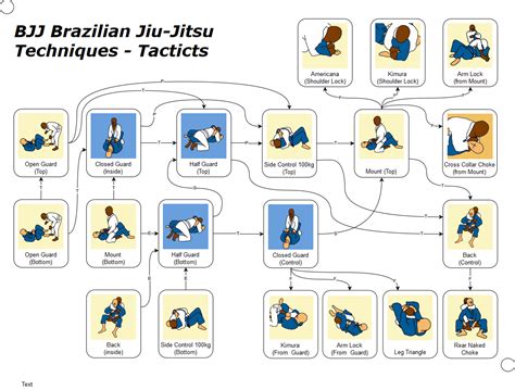 Bjj Brazilian Jiu Jitsu Techniques And Tactics Bjj