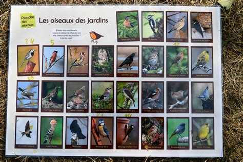 Les Oiseaux Au Jardin Pédagogique Avec La Lpo Rpi Boz Ozan Reyssouze
