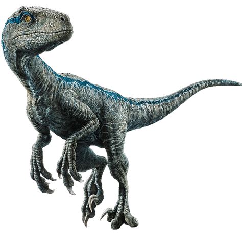 Fallen Kingdom Blue The Velociraptor V4 By Sonichedgehog2 Jurassic Park Y World Dinosaurios