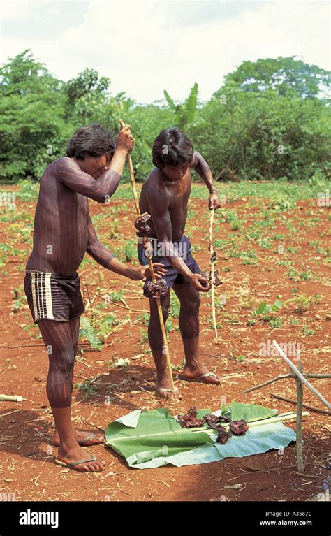 Una Aldea Ukre Kayapo De Brasil Hombres Que Sirven A La Brasa En Un Pecarí Salvaje Banana Leaf