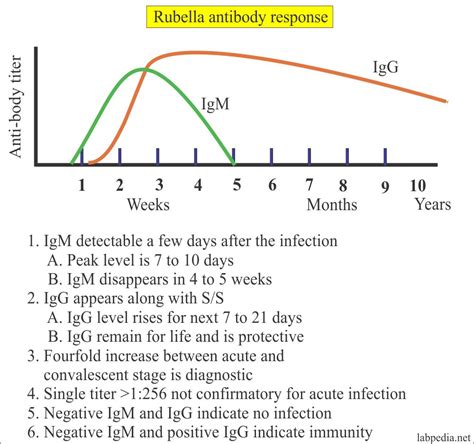 Torch Profile Part 1 Rubella Virus
