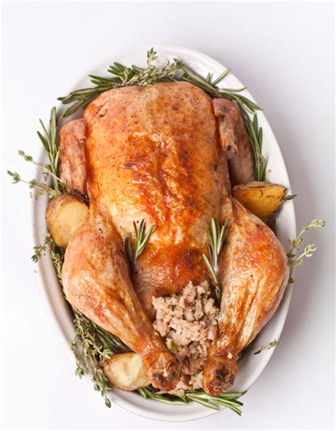 Agriturismo nella campagna toscana di bibbona, vicino a bolgheri. Prepariamo la gallina ripiena