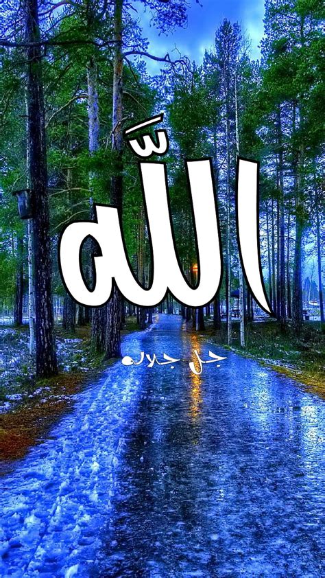 Allah God Nice Tree Islamic Athkar Arabic Nature Theme Hd