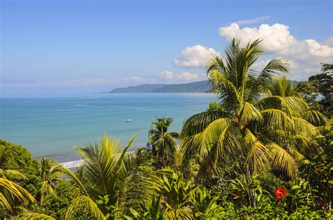 Osa Peninsula A Guide To The Most Adventurous Corner Of Costa Rica