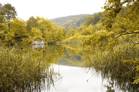 Landscape Of A Beautiful Lake Stock Image Image Of Abundance Ecology