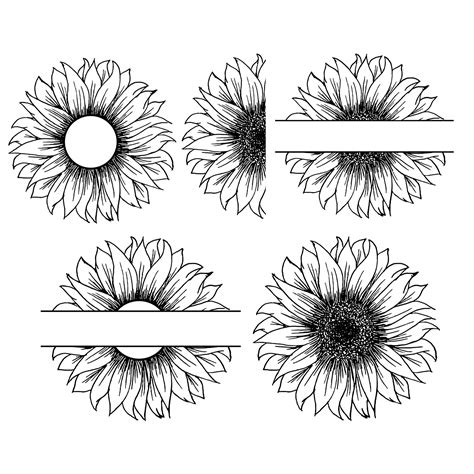 Sunflower Vector Graphic Clipart Design 8554167 Vector Art At Vecteezy