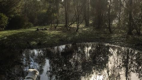 Winter Is A Wonderland In The Macedon Ranges Remember The Wild