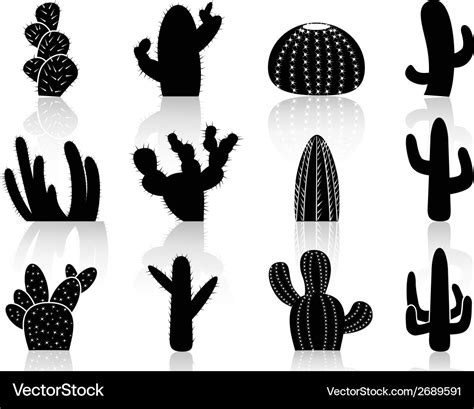 Cactus Silhouettes Royalty Free Vector Image Vectorstock