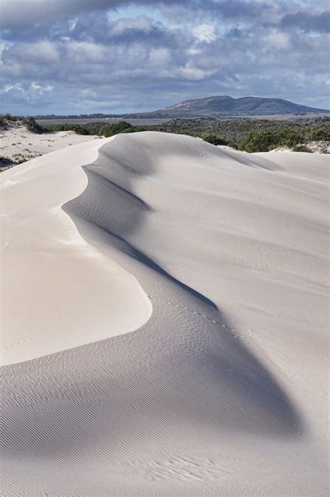 Sand Dunes Of Wylie Bay Near Esperance Westernaustralia Western