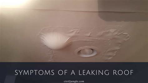 Roof Leak Detection What Can A Leaking Roof Due To My Home What Are The Symptoms Of A