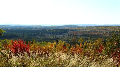 Autumn Landscape Of Quebec Stock Image Image Of Forest 45068079