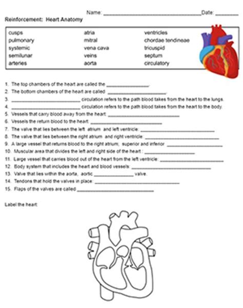 Heart Anatomy Worksheet Answers Exam Academy