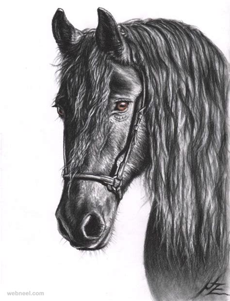 Pencil and paper are very simple things, but creating art with pencil illustrations is anything but simple and when they are this realistic it becomes a technical achievement besides being an artistic endeavor. 25 Beautiful and Realistic Animal Drawings around the ...
