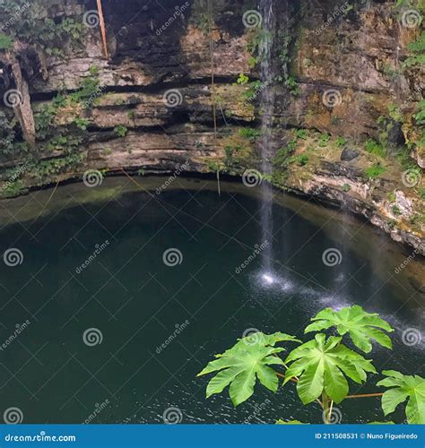 El Cenote Stock Image Image Of Mexico Tropical Jungle 211508531